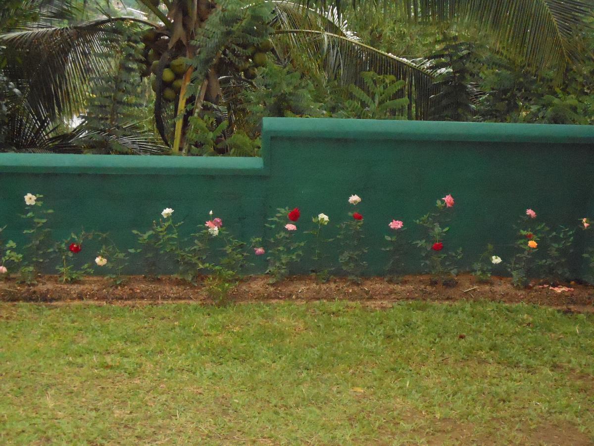 Lavender Hills Home Stay Kandy Bagian luar foto