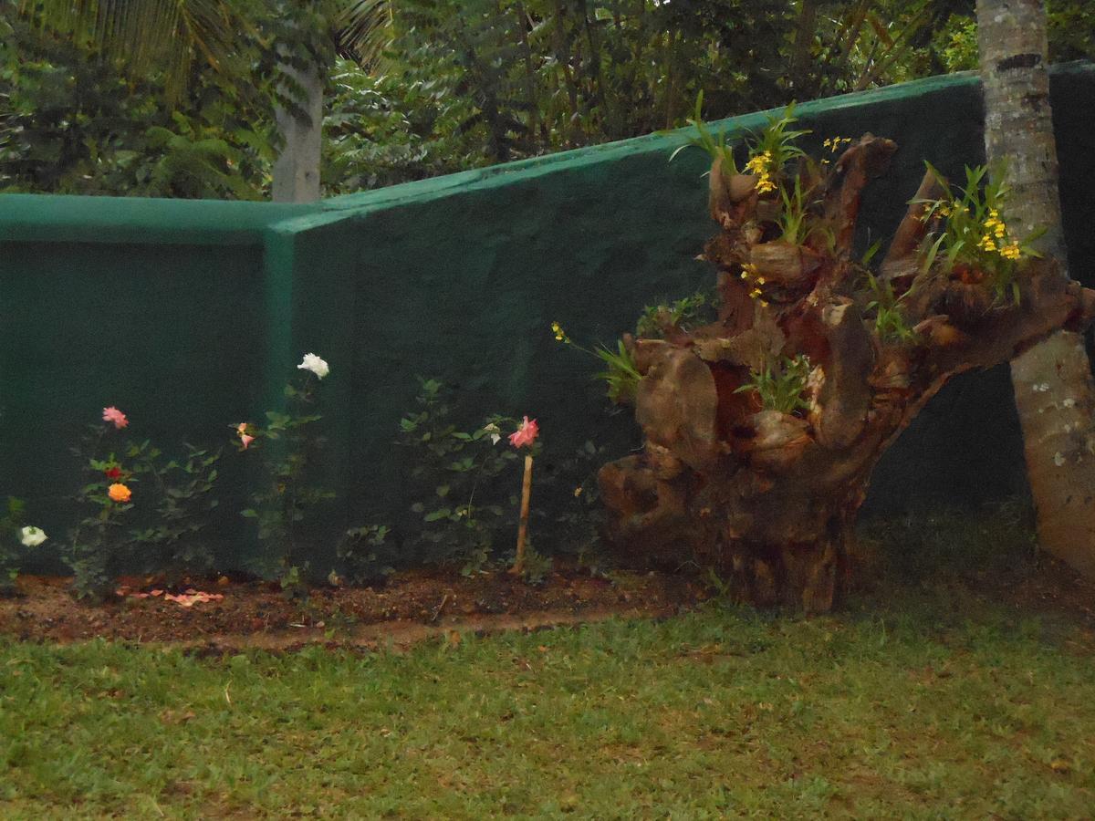 Lavender Hills Home Stay Kandy Bagian luar foto